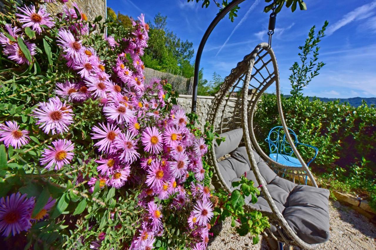 Villa Luna Motovun Extérieur photo