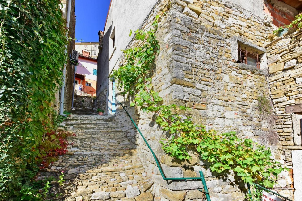 Villa Luna Motovun Extérieur photo