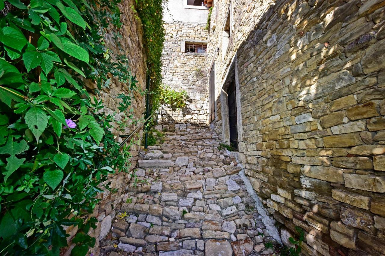 Villa Luna Motovun Extérieur photo